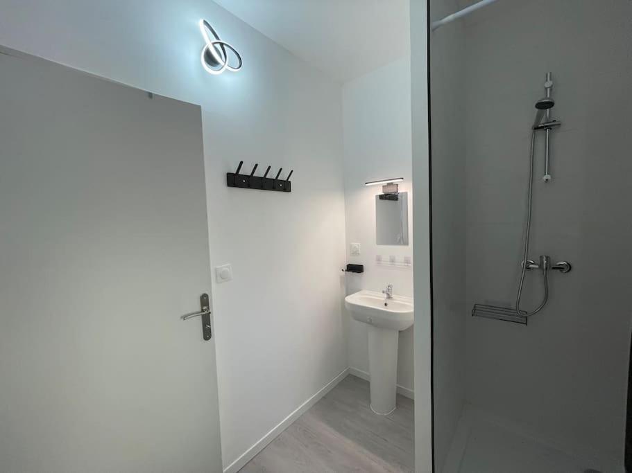 Studio A2 18M2 Cosy 5Minutes Gare Parking Gratuit Rue De La Mure Роан Экстерьер фото